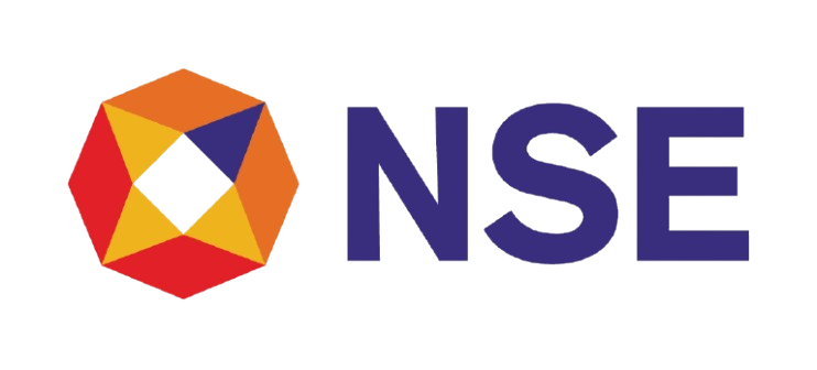 NSE logo